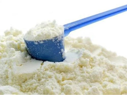 Spray Dried Curd Powder for Food Industry