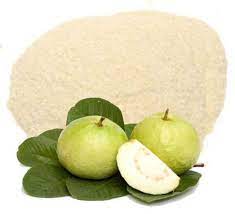 Spray Dried Guava Powder for Food Industry