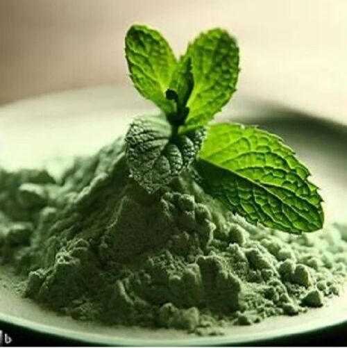 Spray Dried Mint Powder, Packaging Size : 5-10 Kg