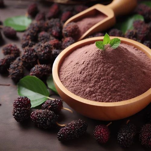 Spray Dried Mulberry Powder for Food Industry