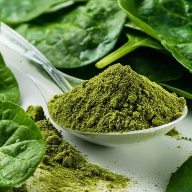 Spray Dried Spinach Powder for Food Industry