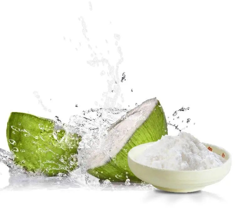 Spray Dried Tender Coconut Powder for Food Industry