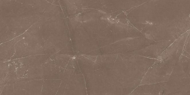 Castano Brown Matt Finish Glazed Vitrified Tile