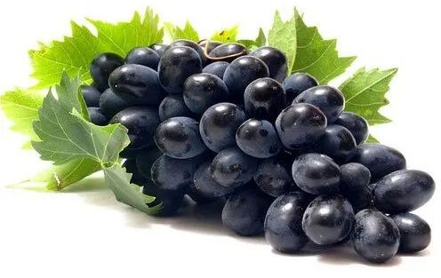 Fresh Black Grapes, Taste : Sweet