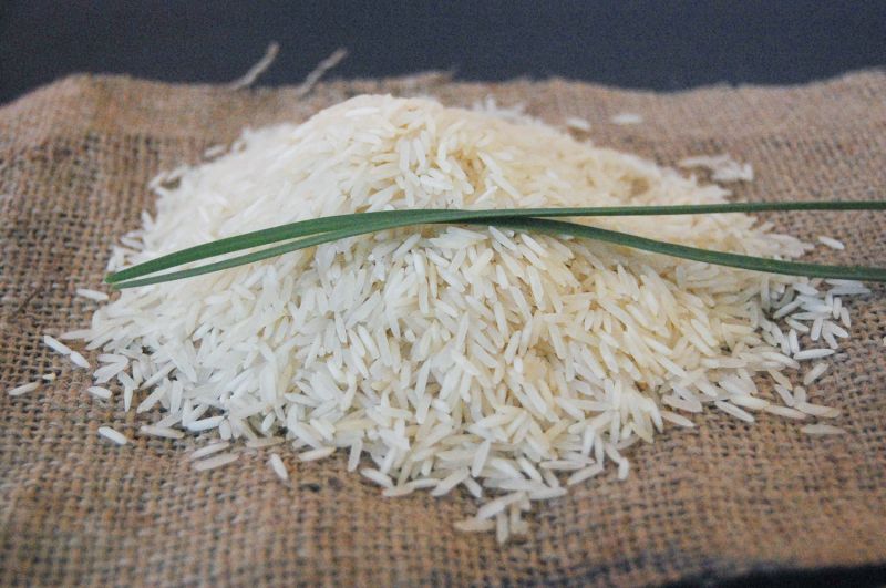 Unpolished Common Traditional Basmati Rice for Cooking