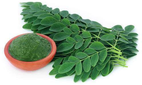 Herbal Drumstick Leaf Powder, Packaging Size : 100gm