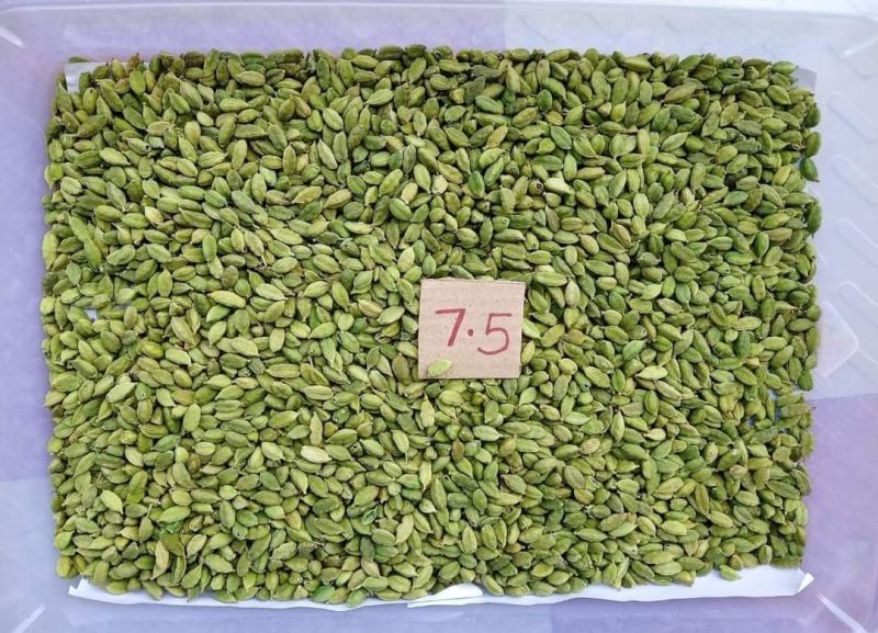 green cardamom