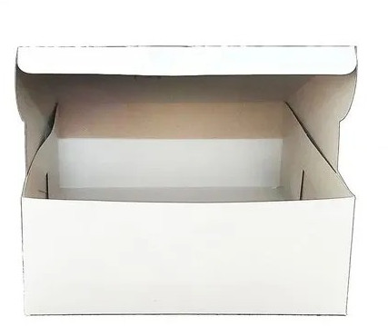 Paper Biryani Packaging Box, Color : White