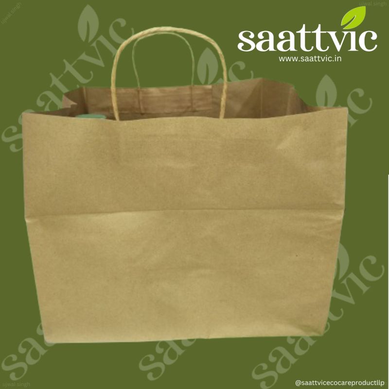 Plain Brown Kraft Paper Bags for Shopping