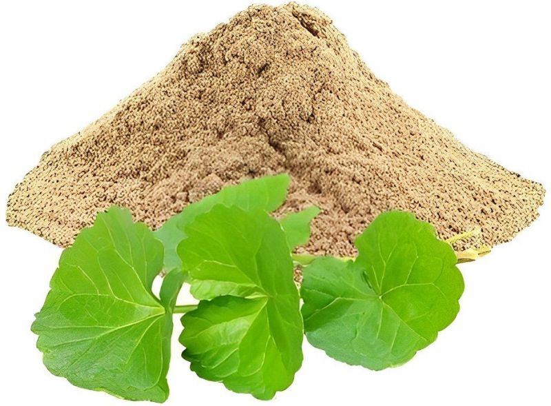 Brahmi Powder for Medicinal Use