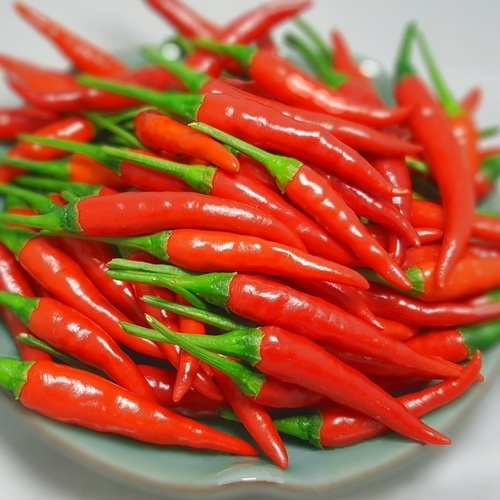 Fresh Red Chilli for Cooking, Making Pickles, Cooking
