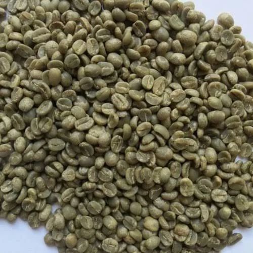 AA Grade Robusta Parchment Washed Coffee Beans