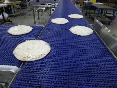 Paint Coating Food Handling Conveyor for Moving Goods, FMCG