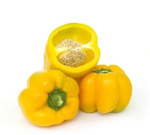 A Grade Fresh Yellow Capsicum for Cooking