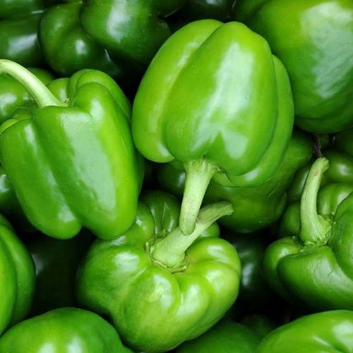 A Grade Green Capsicum for Cooking