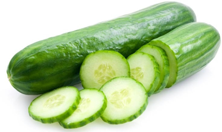 Fresh Natural Cucumber, Packaging Type : Bag