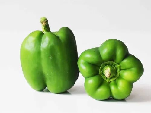 Organic Green Capsicum for Cooking
