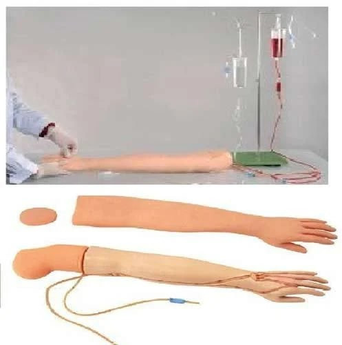 Adult Arm IV Training Manikin for Medical Colleges, Nursing Institutes