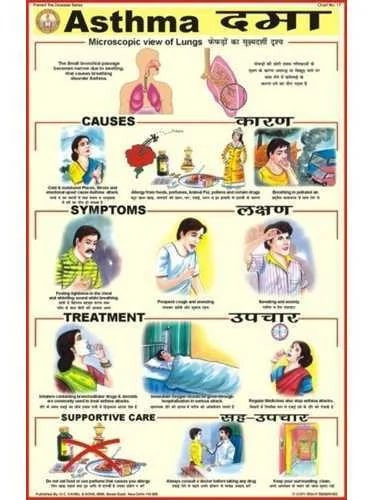Paper Asthma Chart for Biological Labs, Hospital, School