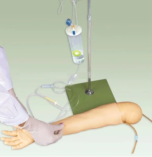 Child Arm IV Training Manikin for Medical Colleges, Nursing Institutes