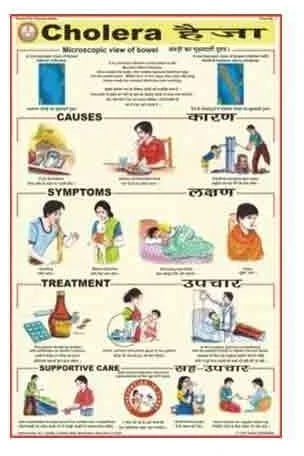 Paper Cholera Chart for Biological Labs, Hospital, School