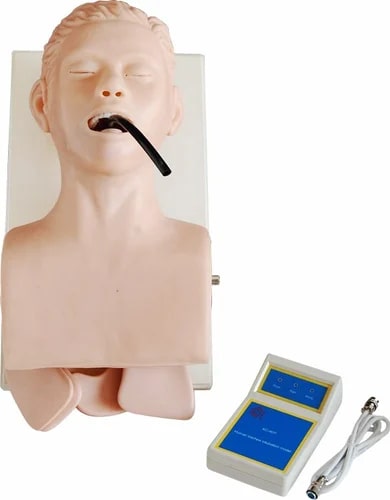 Polished Plastic Trachea Intubation Simulator Model for Medical College