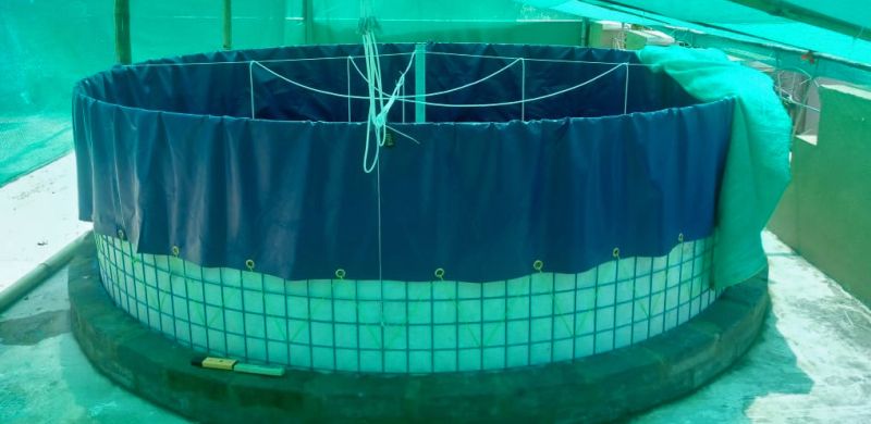 PVC Biofloc Tank Liner For Fish Farming