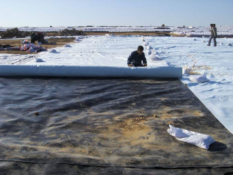 HDPE Geomembrane Canal Liner