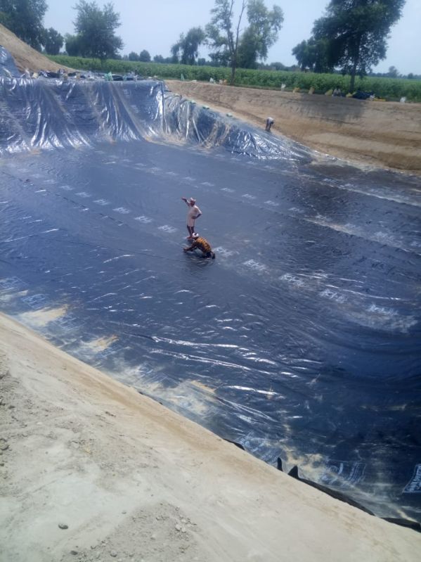 Ldpe Geomembrane Sheets for Construction