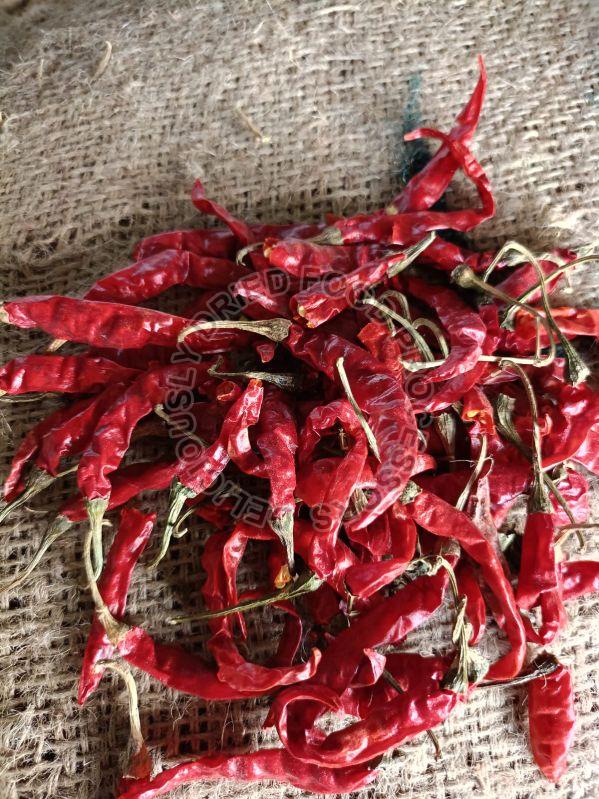 dry red chilli