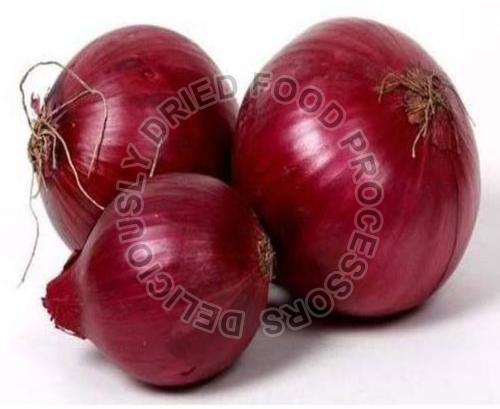 Fresh Red Onion for Human Consumption