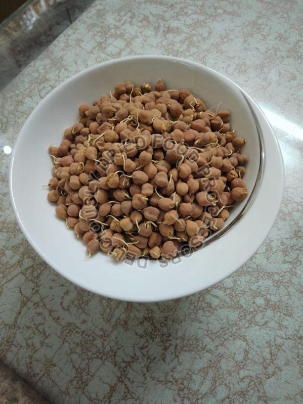 Natural Dehydrated Sprouted Desi Chana For Cooking