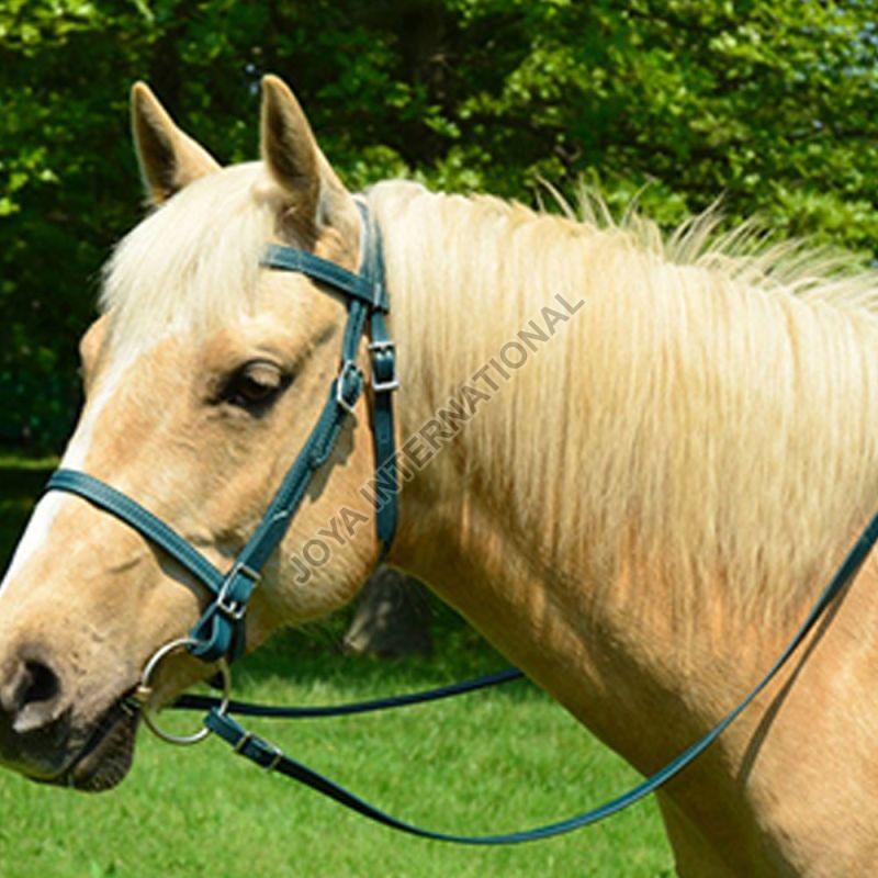 Green Joya International Adjustable PVC Bridle, for Horse Riding
