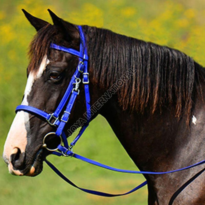 Joya International Blue PVC Bridle, for Horse Riding, Color : Black