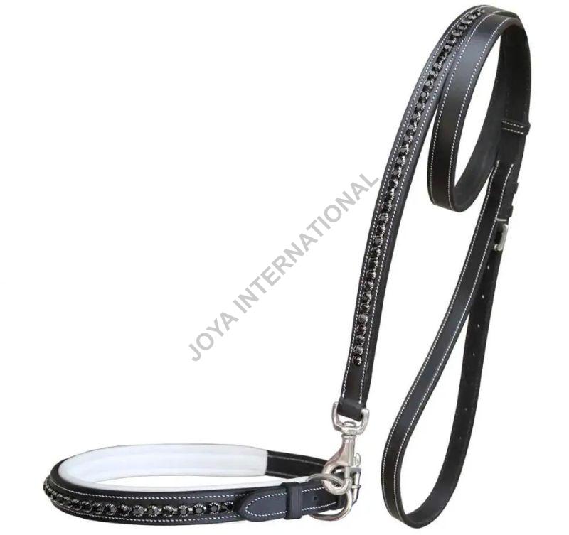 Braided Leather Dog Leash