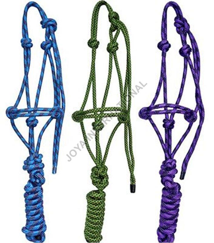 Joya International Multicolor Horse Rope Halter for Lead An Animal