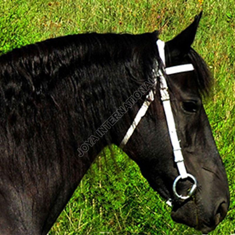 Western PVC Bridle