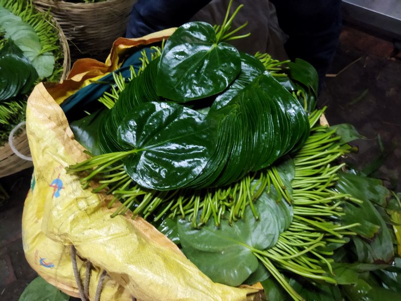 Organic betel leaf, Color : Dark Green