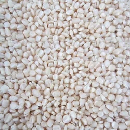 White Maize, Packaging Type : Pp Bags