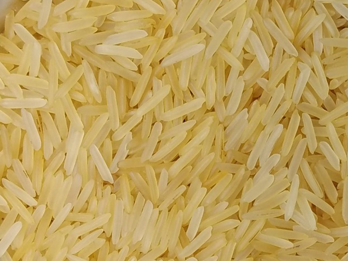 1509 Golden Sella Basmati Rice for Human Consumption