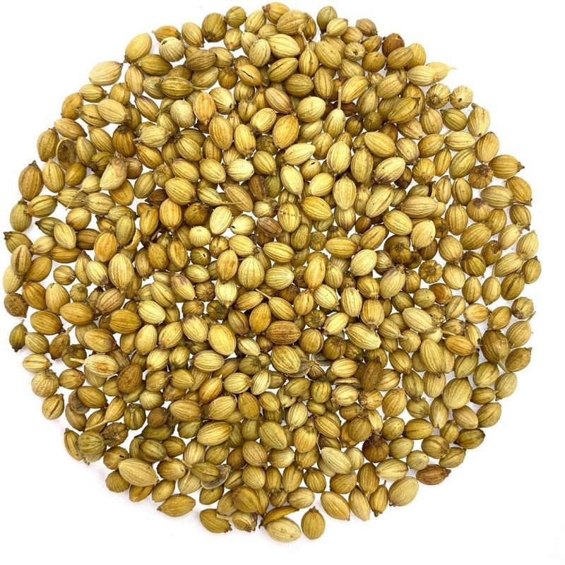 Coriander Seeds