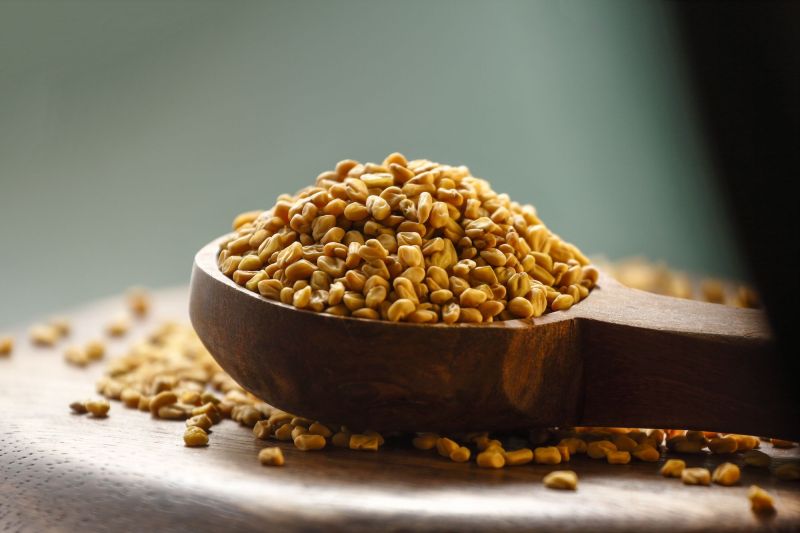 Common Fenugreek Seed for Cooking