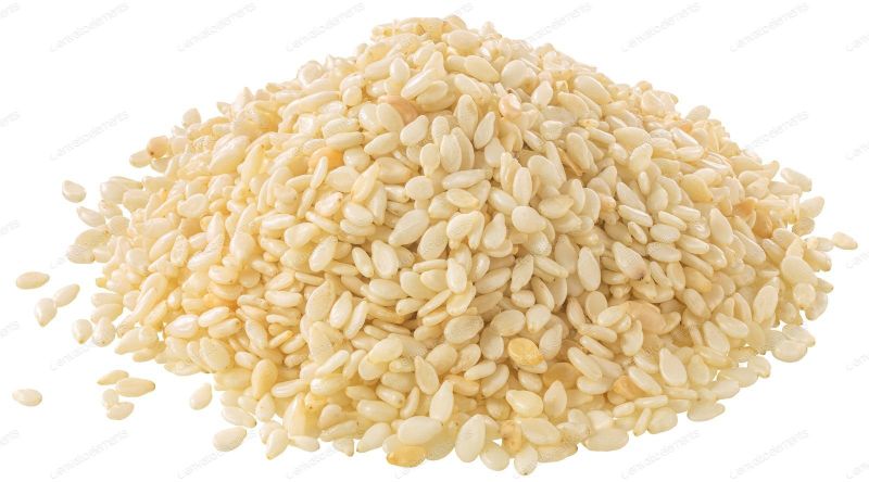 Common White Sesame Seeds for Oil
