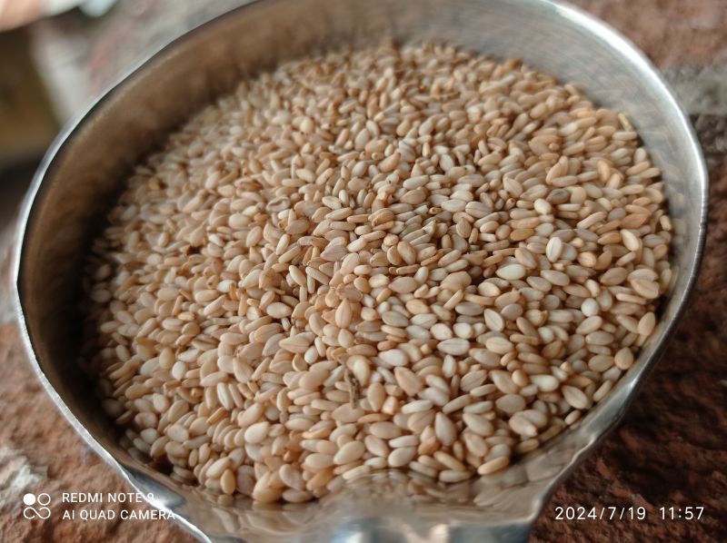 Khodal Prakrutik Farm Organic Sesame Seeds For Cooking