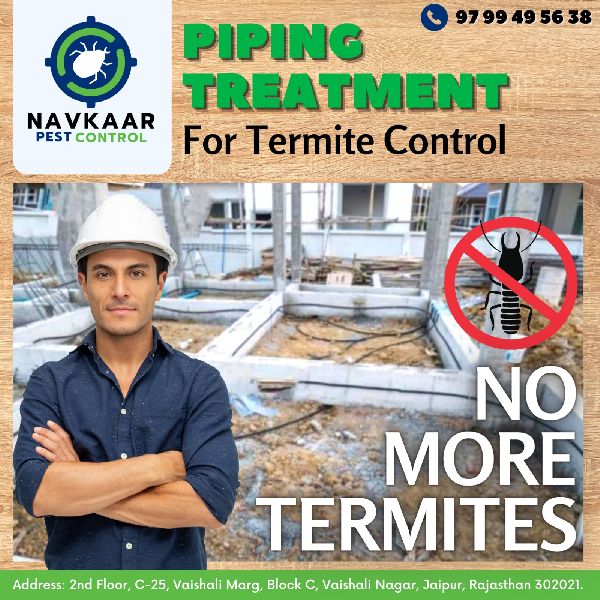 Termite Control Service