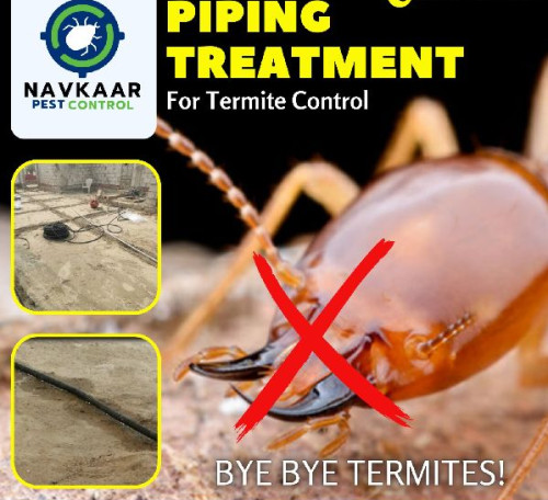 Termite Control Service