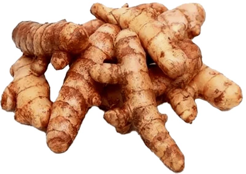 Raw Organic fresh turmeric, Form : Finger