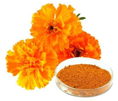 Marigold Flower Powder for Medicinal, Cosmetic Products