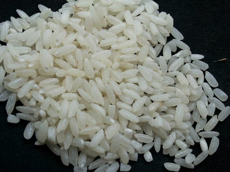 Short Grain Non Basmati Rice for Cooking