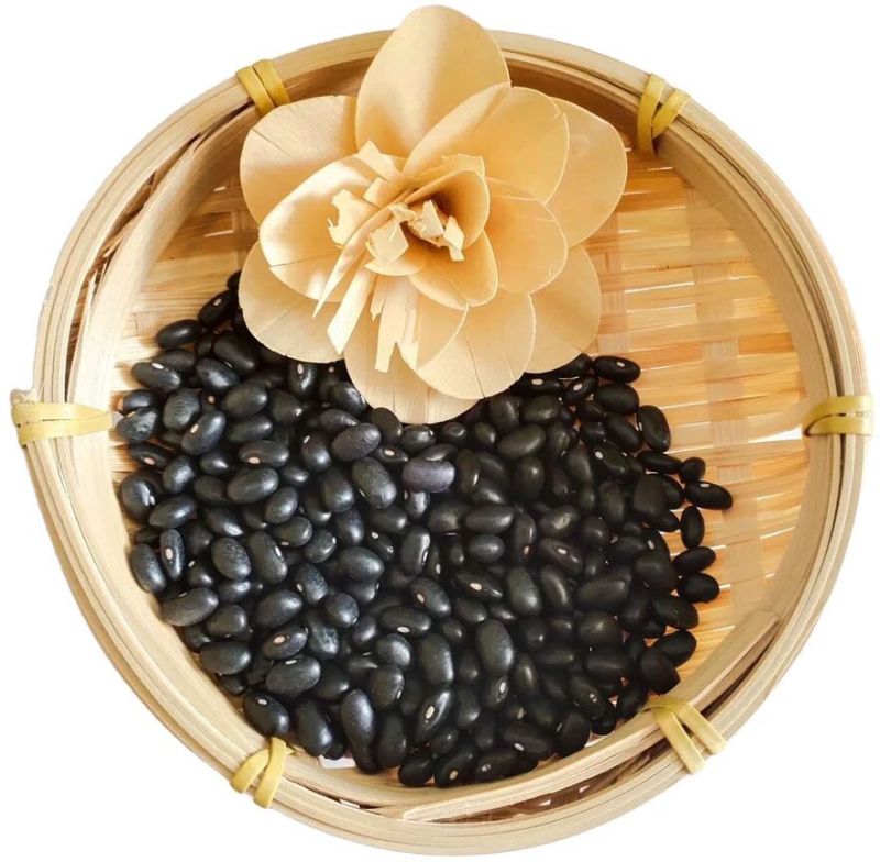 Black Sparkled Pinto Beans